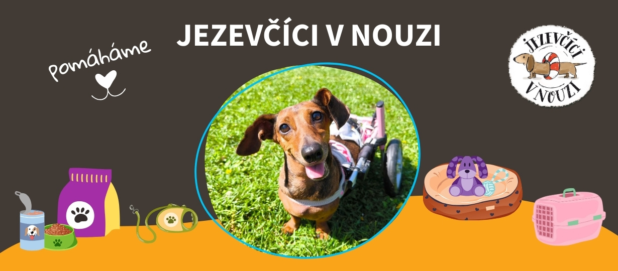 jezevcici_v_nouzi_final